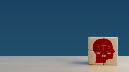 Curso sobre inclusi�n, derechos y apoyos
