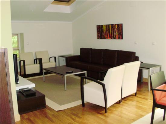 salon vivienda 1 (3)