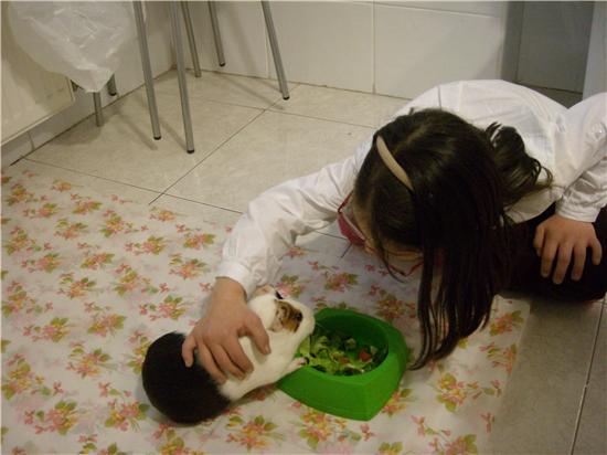 DSCN0504